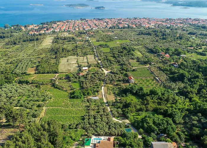 Kaljannovici Bb Ii אורביץ